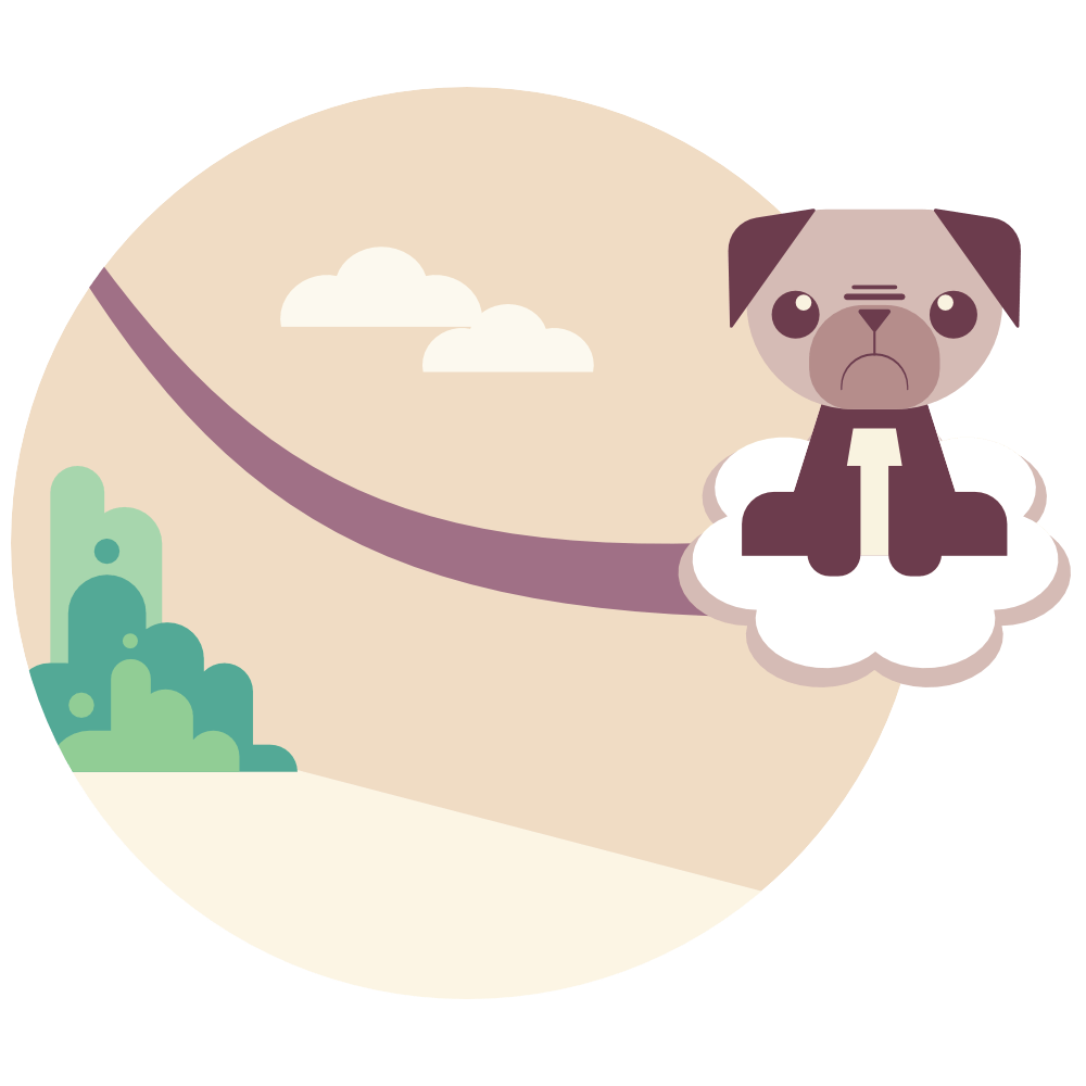 a pug riding the nimbus cloud